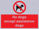 no-dogs-except-assistance-dogs~